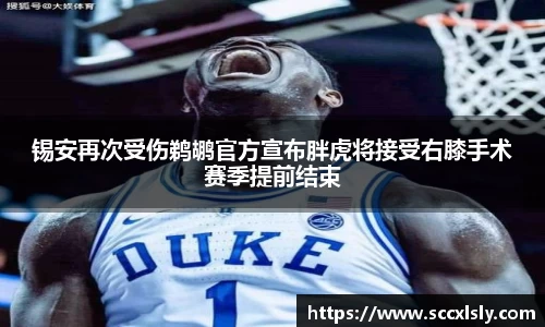 锡安再次受伤鹈鹕官方宣布胖虎将接受右膝手术赛季提前结束