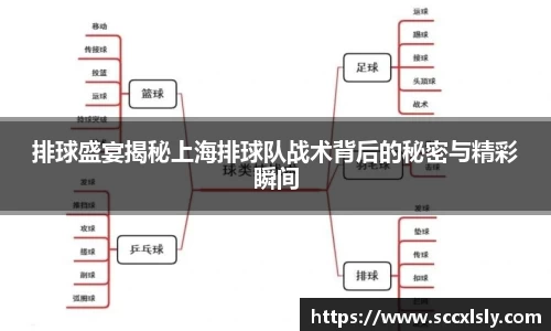 排球盛宴揭秘上海排球队战术背后的秘密与精彩瞬间